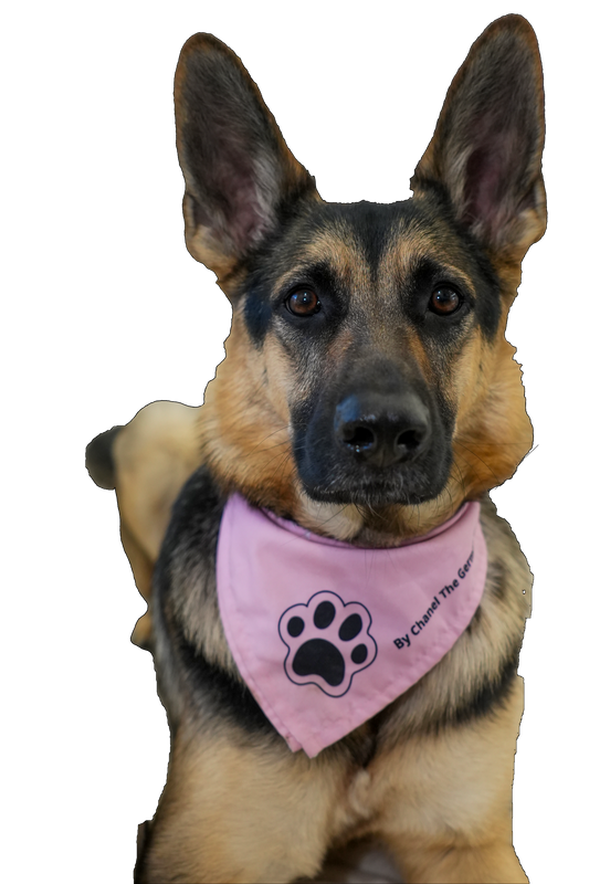 Pet Bandana Pink